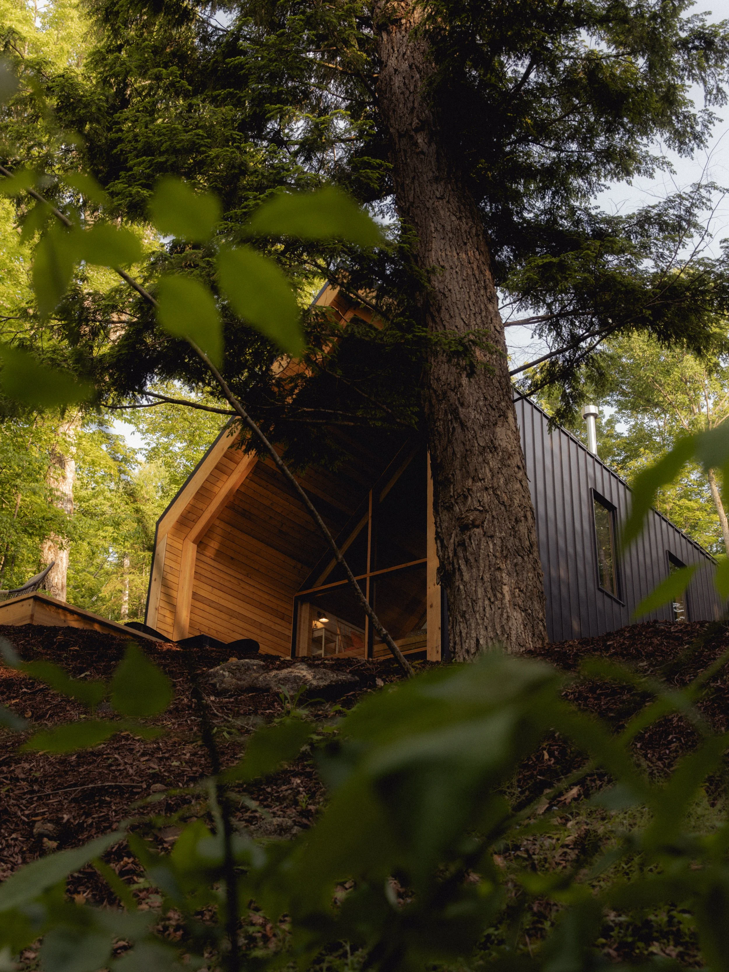 camp in haliburton highlands - ontario