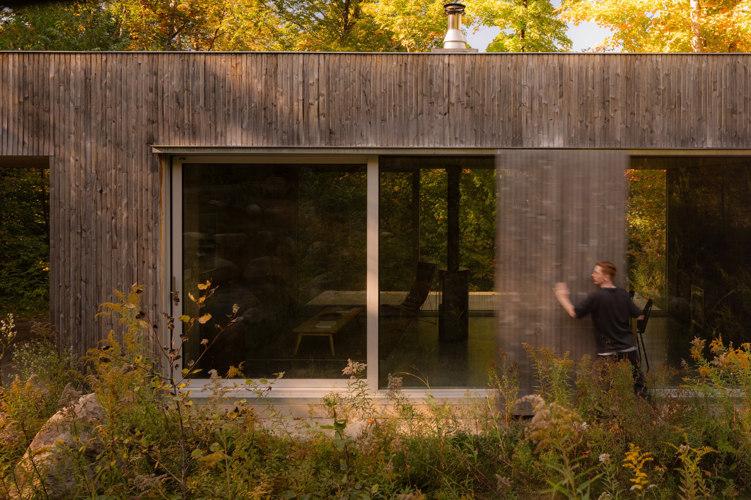 a hinter cabin exterior clad in vertical timber against dense forest